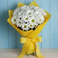 Букет цветов из:  Хризантемы в Кореновске