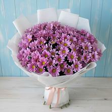 Букет цветов из:  Хризантемы в Кореновске