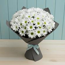 Букет цветов из:  Хризантемы #REPLACE_PRED# Кореновске