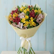 Букет цветов из:  Альстромерии в Кореновске