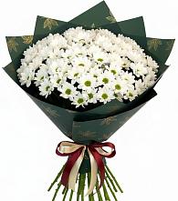 Букет цветов из:  Хризантемы в Кореновске
