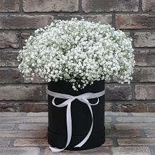 Цветочная композиция из Гипсофила в шляпной коробке в Кореновске