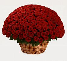 Премиум букет из: Розы в Кореновске