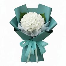 Букет цветов из:  Гортензия #REPLACE_PRED# Кореновске